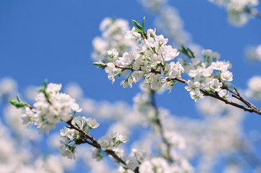 Similar image 22618972