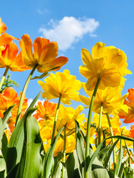 Similar image 22618974