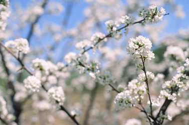 Similar image 22618901