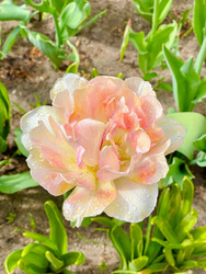 Similar image 22618932