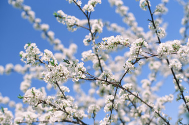 Similar image 22618967