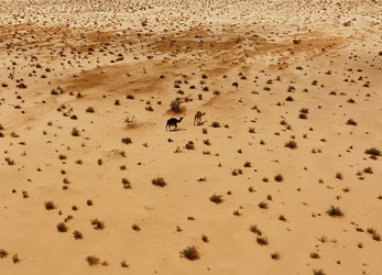 Similar image 22618231