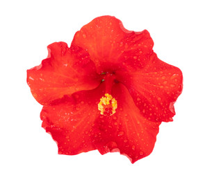 Similar image 22622807