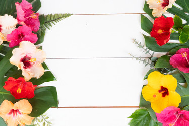 Similar image 22622877