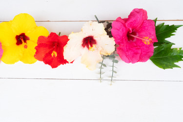 Similar image 22622950