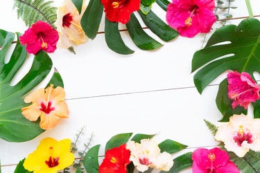 Similar image 22622978