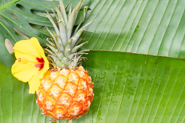 Similar image 22622573