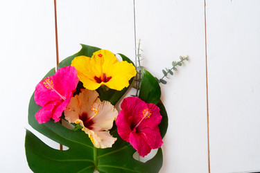 Similar image 22622574