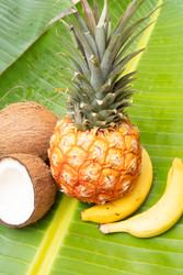 Similar image 22622592