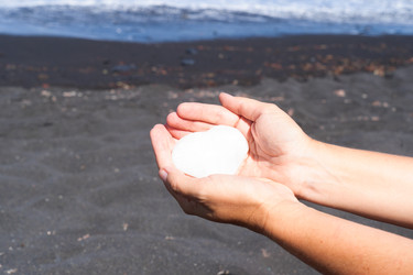 Similar image 22622638