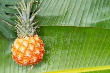 Similar image 22622640