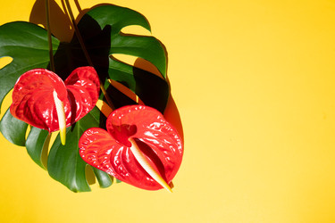 Similar image 22622911