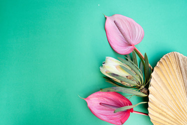 Similar image 22622923