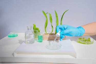 Similar image 22622979