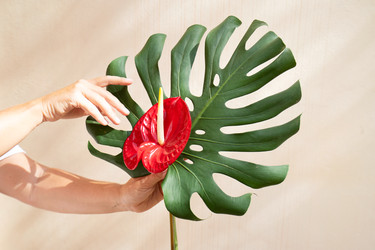 Similar image 22622547