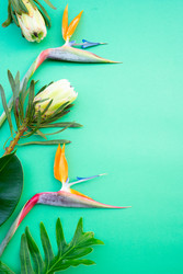 Similar image 22622551