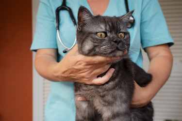 Similar image 22622557