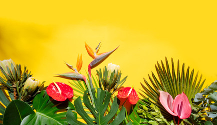 Similar image 22622558