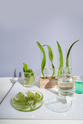 Similar image 22622567