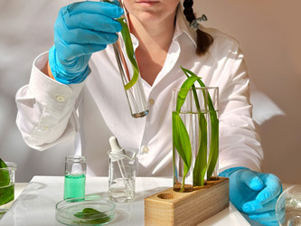 Similar image 22622686