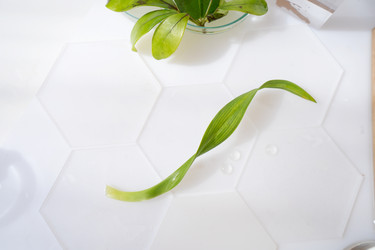 Similar image 22622700