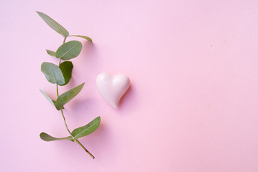 Similar image 22622733