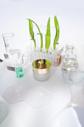 Similar image 22622734