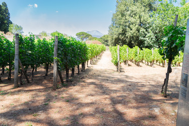 Similar image 22622881