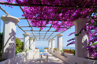 Similar image 22622583