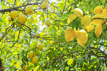 Similar image 22622593