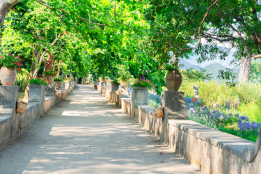 Similar image 22622609