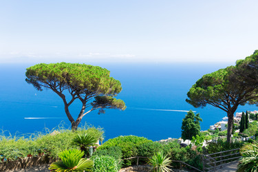 Similar image 22622612