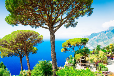 Similar image 22622642