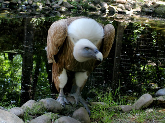 Similar image 22624580