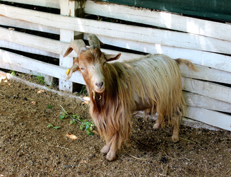 Similar image 22624581