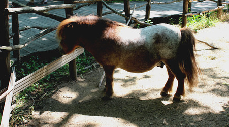 Similar image 22624582