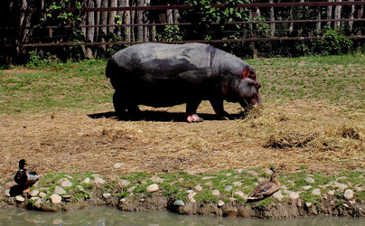 Similar image 22624586