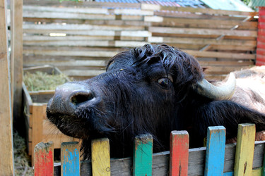 Similar image 22624590