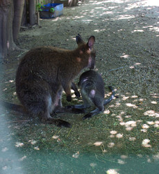 Similar image 22624591