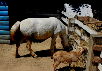 Similar image 22624592