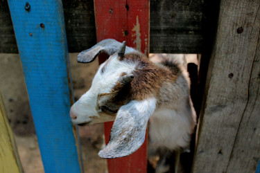 Similar image 22624593