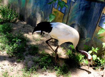 Similar image 22624596