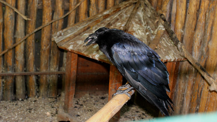 Similar image 22624597