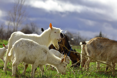 Similar image 22618805