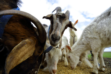 Similar image 22618828