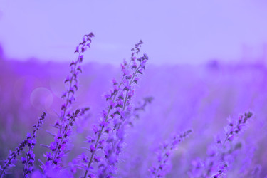 Similar image 22618841