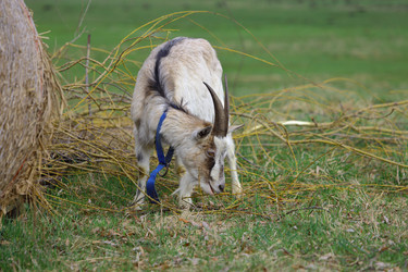 Similar image 22618843