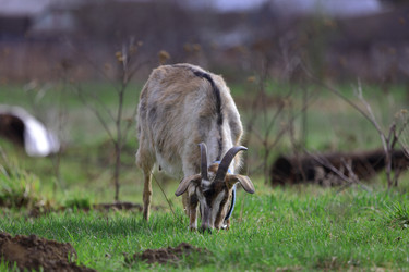 Similar image 22618844