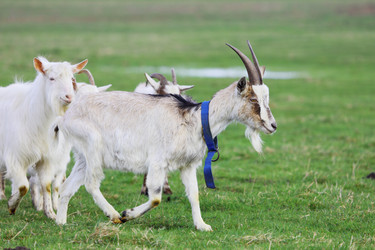 Similar image 22618855