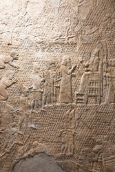 Similar image 22630269